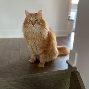 Meet your Posher, Johanne